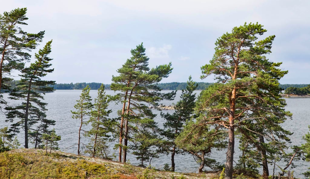 moderni kesähuvila